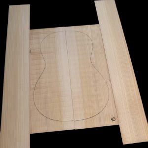 Ciprés Mediterraneo CL10