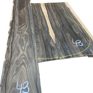 Set Ziricote #43 Acoustic