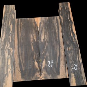 Juego de Ebano Acústica #21