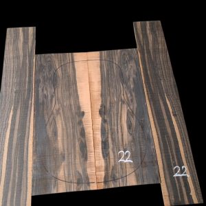 Set Ebony #22 Acoustic