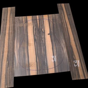 Set Ebony #31 Acoustic