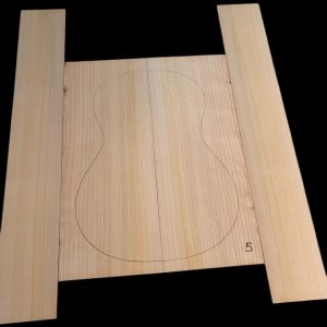 Ciprés Mediterraneo CL5