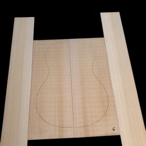 Ciprés Mediterraneo CL6